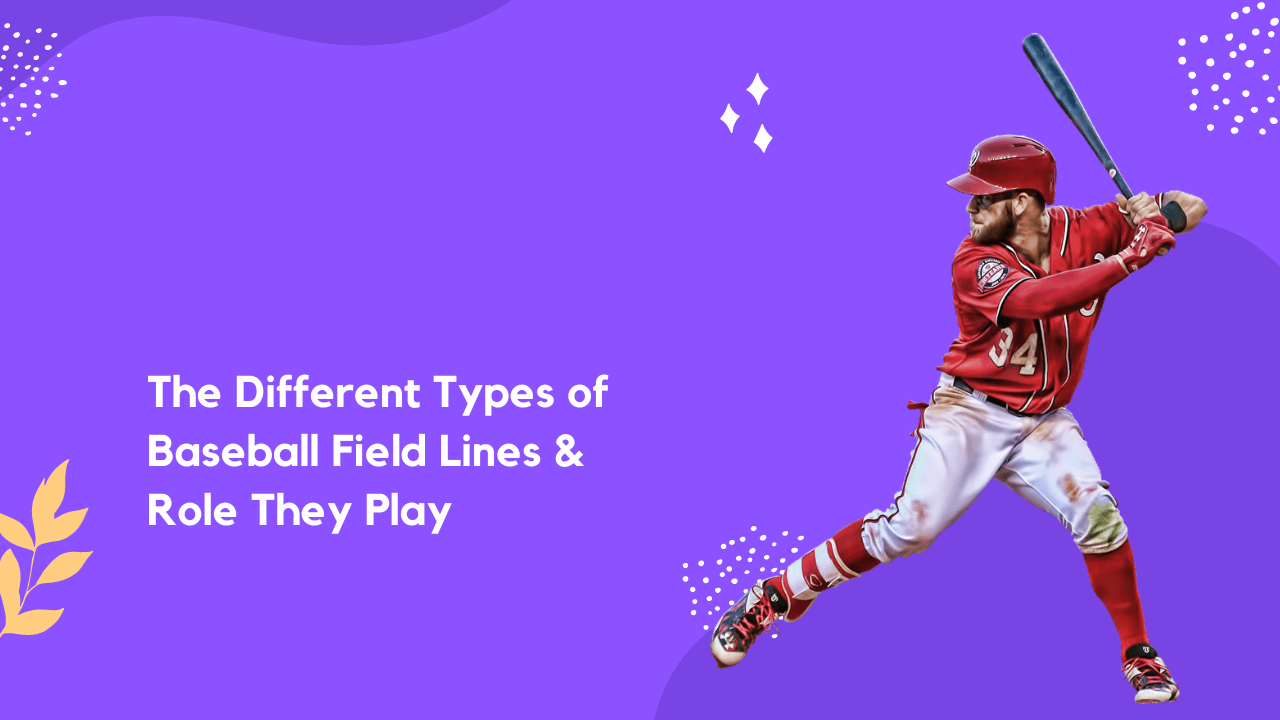 The Different Types of Baseball Field Lines & Role They Play